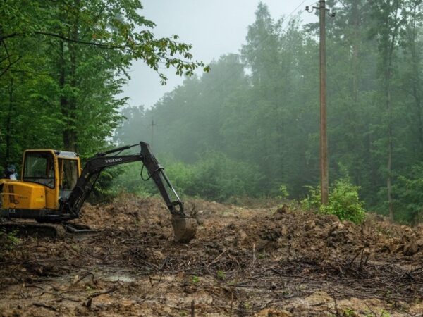 Новини України - На Тернопільщині почалась ексгумація поляків, убитих в 1945 році