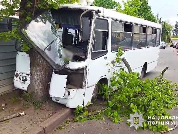 Новини України - У Полтаві автобус врізався в дерево: серед постраждалих - дитина