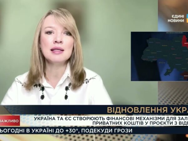 Відбудова України: Як залучатимуть приватні інвестиції з ЄС | Олена Шуляк