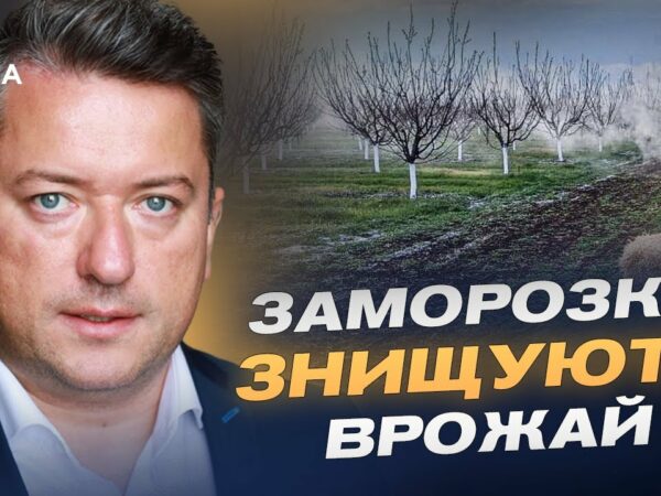 Заморозки ЗНИЩУЮТЬ врожай: що буде з цінами на фрукти та зерно? | Дмитро Соломчук