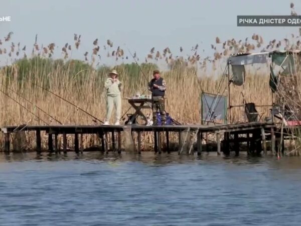 Як рибалити під час нерестової заборони, щоб не порушувати правила