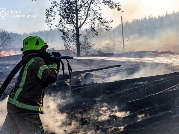 Новини України - Лісова пожежа поблизу Ізюма поширюється
