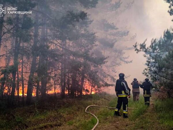 Новини України - На Харківщині локалізували масштабну лісову пожежу