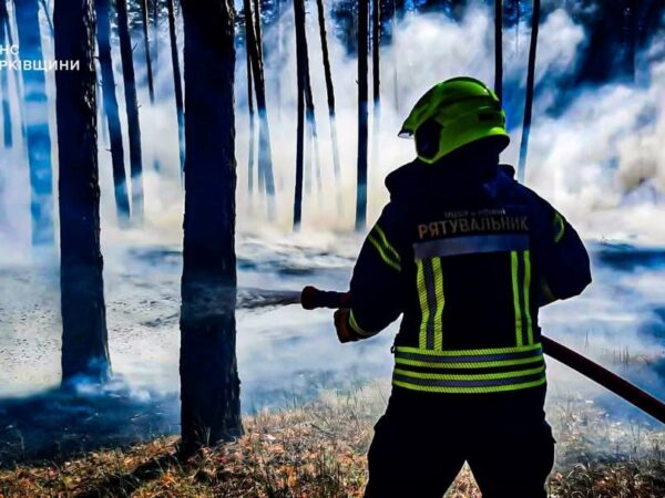 Новини України - Рятувальники ліквідували п’ять лісових пожеж на Харківщині