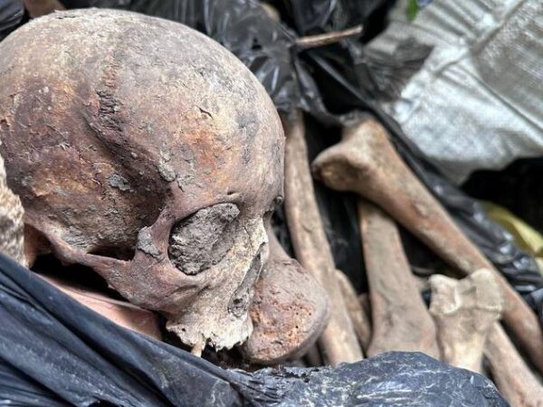 Новини України - Скандал у Києві: знайдено 10 тон людських кісток