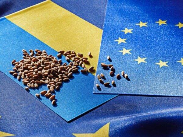 Новини України - "Торгівельний безвіз" з ЄС завершується, і ось головні небезпеки