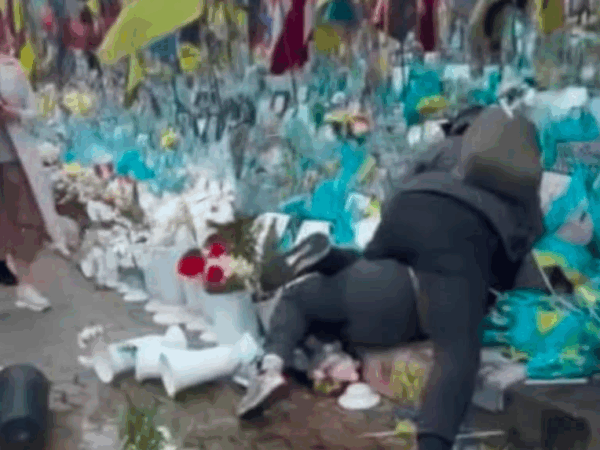 Новини Києва - У Києві жінка вчинила погром на Алеї Героїв