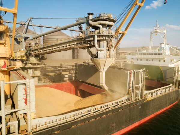 Новини бізнесу - Україна скоротила експорт агропродукції на понад 23% - УКАБ