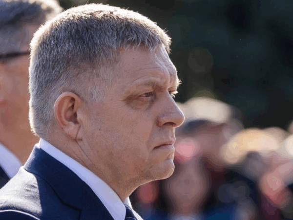 Новини світу - Уряд Фіцо дозволив продавати м’ясо бурого ведмедя