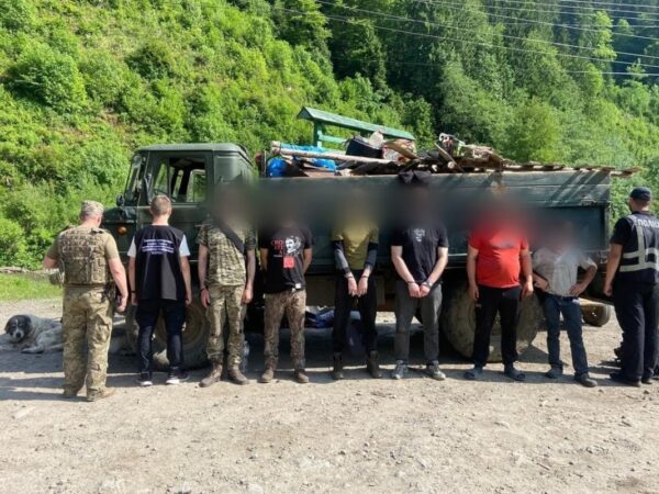 Новини України - Кози, свині й ухилянти - на Закарпатті викрили схему перевізників