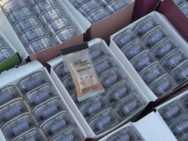 Новини України - У посилках з Німеччини: викрито канал постачання наркотиків в Україну