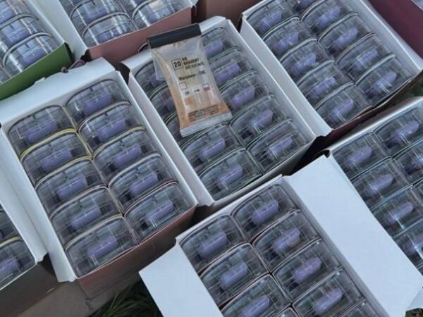 Новини України - В Україні викрили міжнародний канал наркопостачання