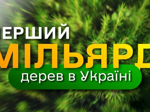 МІЛЬЯРД дерев в Україні / програма Президента ЗЕЛЕНА КРАЇНА / як ДП "Ліси України" вирощує сіянці