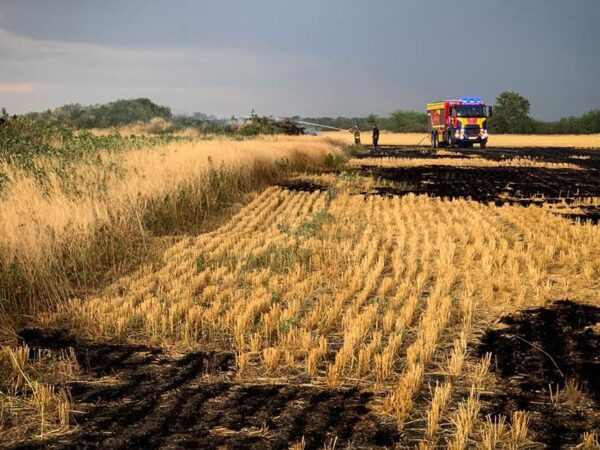 Новини України - На Миколаївщині вигоріло 70 гектарів пшениці