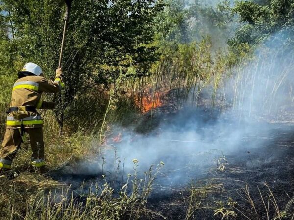 Новини України - На Одещині вирують масштабні пожежі: є жертва