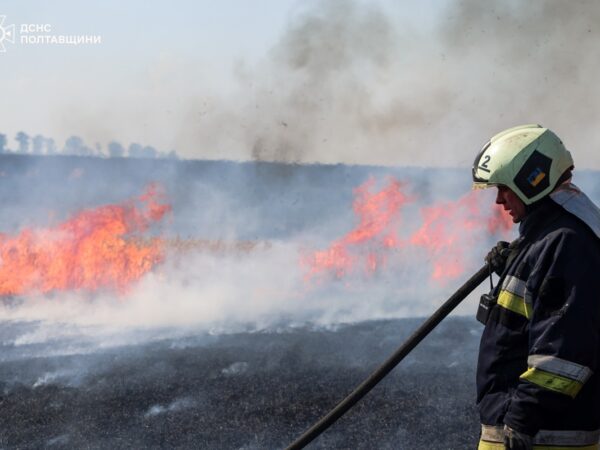 Новини України - На Полтавщині пожежа знищила поле зернових