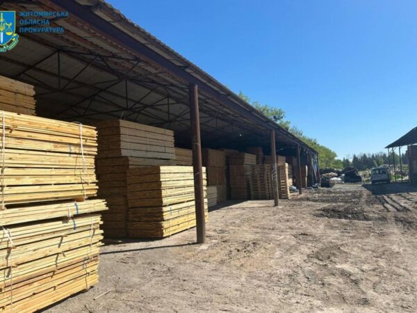 Новини України - На Житомирщині судитимуть посадовців за розкрадання лісу