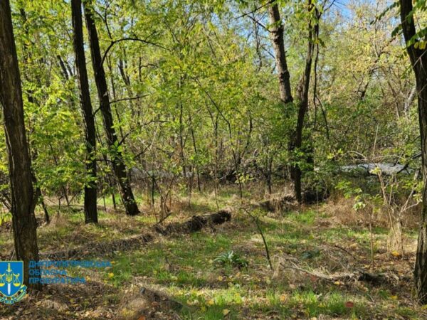 Новини України - Незаконна вирубка лісу на Дніпропетровщині призвела до 34 млн збитків