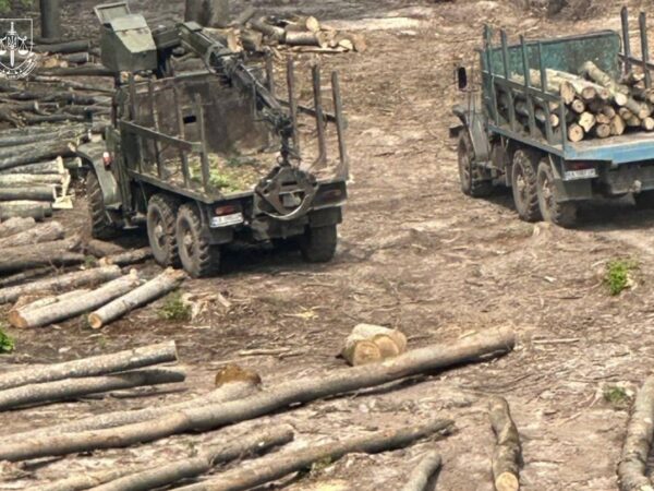 Новини України - Повідомлено про підозри 13 працівникам Ліси України та ЛІАЦ