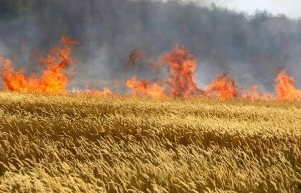 Новини України - Росіяни вдарили по Кіровоградщині: виникла пожежа