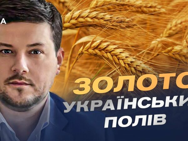 Український хліб 2025: як ідуть жнива та які прогнози | Денис Марчук