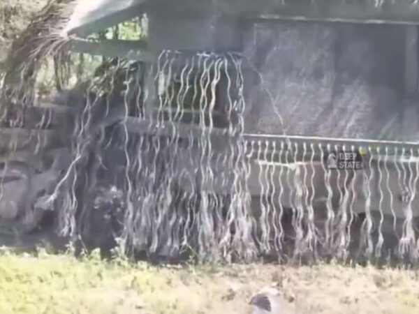 Новини України - ЗСУ показали трофейний російський "танк-монстр"