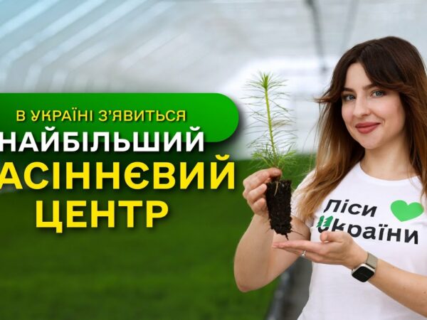НАЙБІЛЬШИЙ в Україні ЗАВОД з виробництва СІЯНЦІВ / ДП "Ліси України" виконує програму ЗЕЛЕНА КРАЇНА