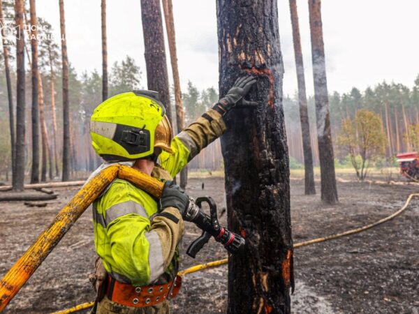 Новини України - На Харківщині ліквідували масштабну лісову пожежі