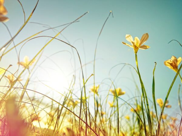 Новини України - Погода в Україні: місцями дощі, температура до 29°