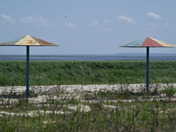 Новини України - Територію Каховське водосховище регулярно охоплює вогонь - Держекоінспекція
