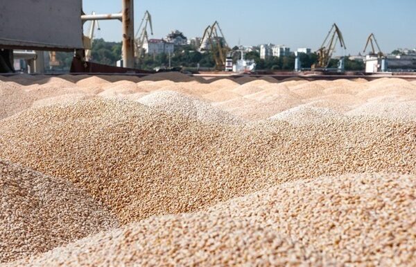 Новини бізнесу - Україна продала мільйон тонн пшениці нового врожаю