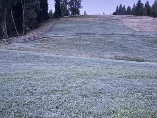Новини України - В селі на Буковині зафіксували п'ятиградусний мороз