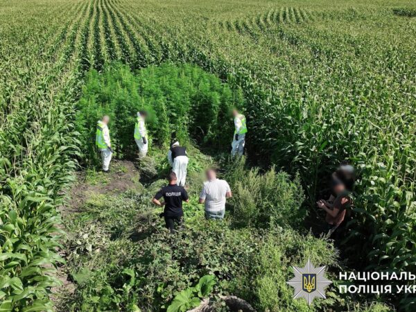 Новини України - В Україні провели масштабну операцію Джентельмени