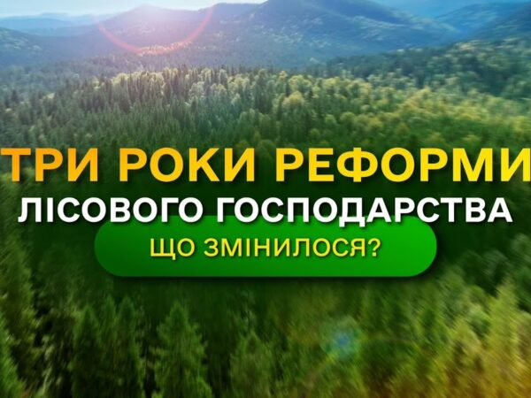Результати ЛІСОВОЇ РЕФОРМИ - що отримала УКРАЇНА? / ДП "Ліси України"