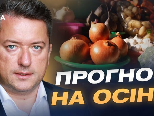 Прогноз цін на м'ясо, олію та овочі: що зміниться у жовтні | Дмитро Соломчук