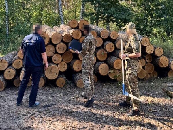 Новини України - ДБР оголосило підозру екскерівнику лісгоспу Харківщини