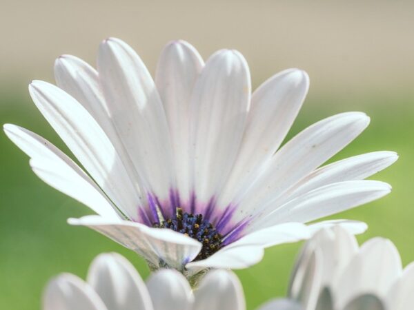 Новини культури - Гороскоп для всіх знаків зодіаку на 20-21 вересня 2025 року