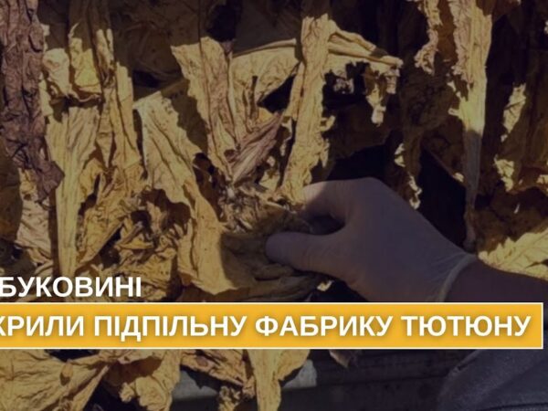 На Буковині викрито та припинено підпільне виробництво тютюну, який реалізовували по всій країні