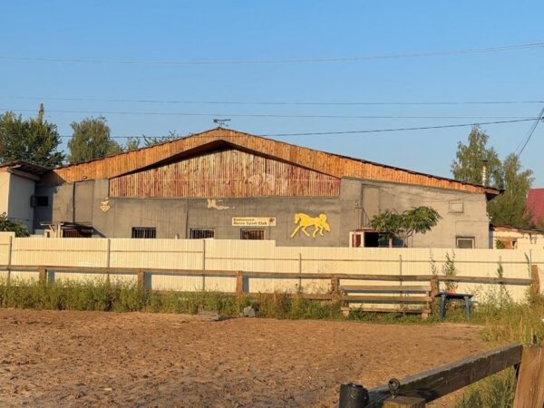 Новини України - Росіяни вдарили по кінному клубу на Київщині