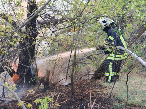 Новини України - Рятувальники другу добу гасять пожежу на Хортиці