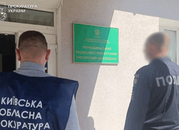 Новини України - У Чорнобильській зоні незаконно вирубали дерев на понад 77 млн грн