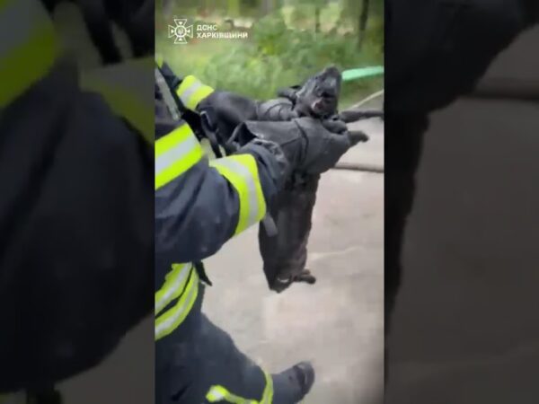 Кожне_життя_важливе