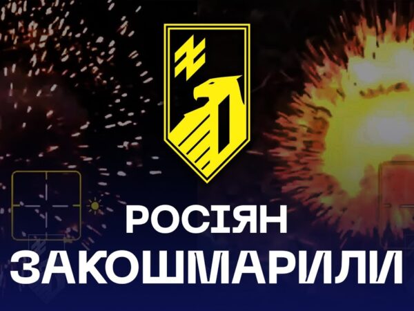 Закошмарили ворога під Добропіллям 😈 FPV працюють!