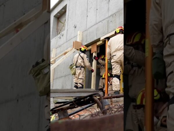 Чому ми використовуємо деревину для укріплення конструкцій?