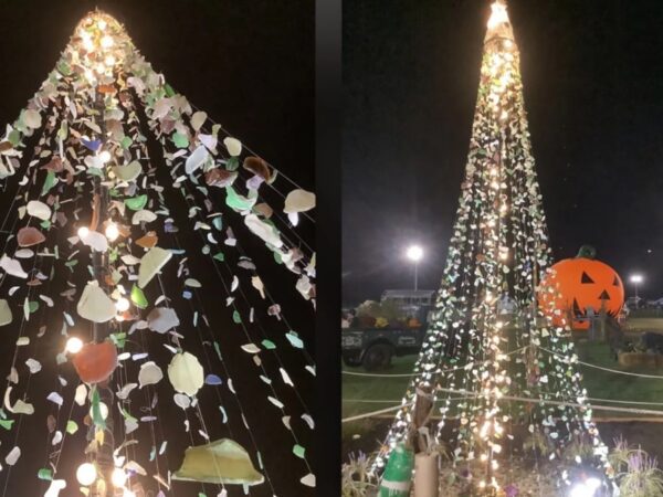 Новини світу - Американець створив 4,5-метрову ялинку з морського скла