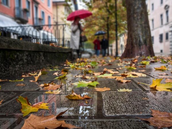 Новини України - Більшу частину України накриють дощі: подекуди значні опади