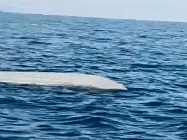 Новини світу - Біля берегів Туреччини виявили морський дрон