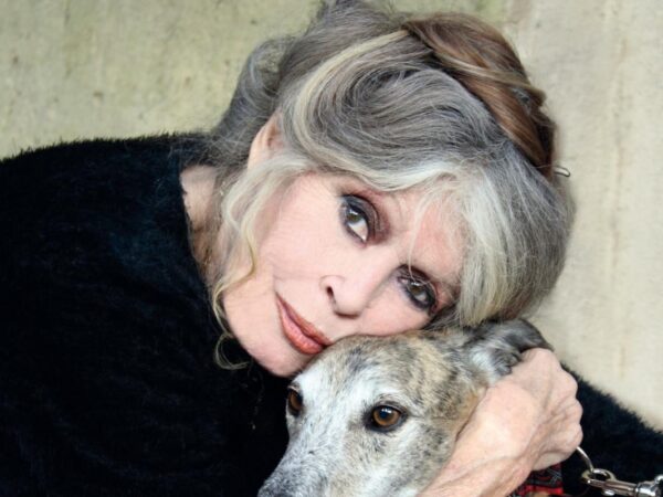 Новини культури - Бріжіт Бардо спростувала чутки про свою смерть