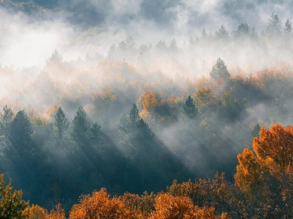 Новини культури - Гороскоп для всіх знаків зодіаку на 14 жовтня 2025 року