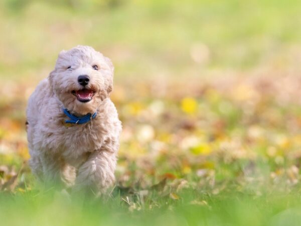 Новини культури - Гороскоп для всіх знаків зодіаку на 23 жовтня 2025 року